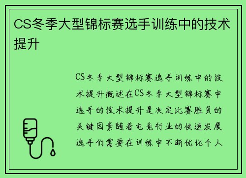 CS冬季大型锦标赛选手训练中的技术提升