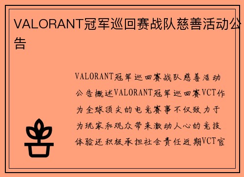 VALORANT冠军巡回赛战队慈善活动公告