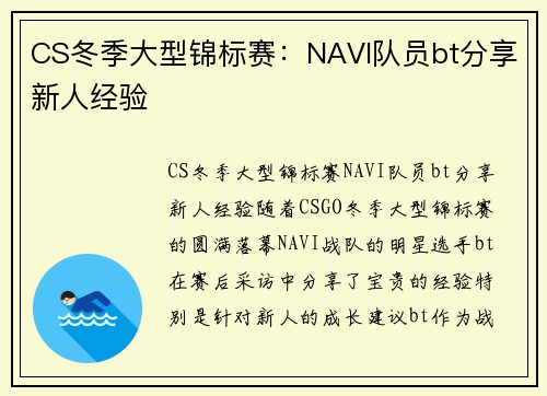 CS冬季大型锦标赛：NAVI队员bt分享新人经验